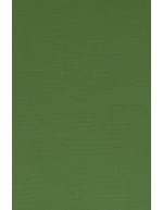 Pinnoitettu lakana, punainen